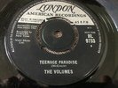 The Volumes Sandra Teenage Paradise Rare Original UK 7