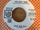 RARE GARAGE PSYCH 45 rpm THE LOST TRIBE on UA wlp PROMO Walk One Way MINT