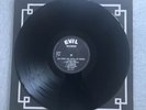 EVIL SKINS 1987 LP RARE MISPRINT ISD REBELLES EUROPEENS FRENCH