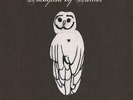 Trampled By Turtles - Palomino (NEW VINYL LP)