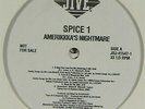 Spice 1 