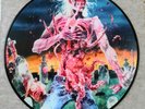 Cannibal Corpse - Eaten Back To Life  Anniversary Picture Disc Vinyl Lp rare