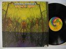 AMERICAN BLUES Do Their Thing LP 1968 US EX Pre ZZ TOP blues rock garage psych