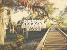 Gregg Allman - Southern Blood (LP) - Vinyl Country