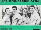 THE KNICKERBOCKERS 45 ONE TRACK MIND+PS HOLLAND RARE 1966