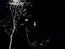 Darkthrone - Under A Funeral Moon - Vinyl LP
