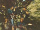 CREEDENCE CLEARWATER REVIVAL - BAYOU COUNTRY - LP RISTAMPA VINILE SIGILLATO 2008