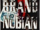 Brand Nubian - In God We Trust 2xLP - Elektra VG++