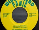 Widespread Panic 45 RPM - Coconut Image / Monkey Image - 1986 original single