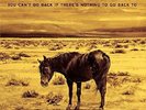 RICHMOND FONTAINE-YOU CAN'T GO BACK IF THERE'S NOTHING TO GO  VINYL LP+MP3 NEU