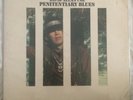 VERY RARE - DAVID ALLAN COE 1ST PRESS/1ST ALBUM 33 PENETENTIARY BLUES, SSS