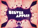 SILVER APPLES Oscillations 2019 12