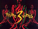 Various ?– Tribe Vibes Vol 3. LP Strictly Breaks