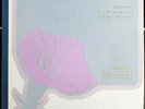 PROKOFIEV Romeo & Juliet Ballet excerpts LAPO Leinsdorf Sheffield LAB 8 LP NM