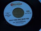 THE KNICKERBOCKERS.  SWEET GREEN FIELDS  /  WHAT DOES MAKE YOU. GARAGE 45. VG++.