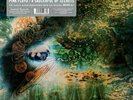 PINK FLOYD A SAUCERFUL OF SECRETS VINYL MONO LP, RECORD STORE DAY 2019. RSD.