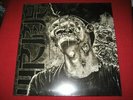 WORMROT Dirge LP rotten sound cripple bastards phobia hellnation napalm death