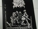 Morbid Angel ?– Abominations Of Desolation LP