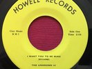 UNKNOWN IV   I WANT YOU TO BE MINE   HOWELL RECORDS RALEIGH NC RARE GARAGE 45 NM