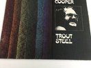 Mike Cooper - Trout Steel - FOLK ROCK Vinyl LP
