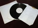 *RARE* SURF PUNKS 'MY BEACH' TEST PRESS/LABEL COPY 12