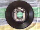 MOTIVATIONS 45 THE BIRDS / MOTIVATE  RARE Surf Guitar Garage Rock VG Mad Mike