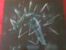 PINK FLOYD - PULSE 1 Vol  One LP VINYL ALBUM   FROM  RECORD BOX SET 1995 Ex Ex