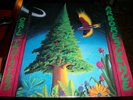 Ozric Tentacles ?– Arborescence - 2LP - 1994 - Dovetail Records
