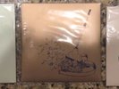 Avett Brothers Guild Fan Club Exclusive 7 Inch Vinyl 2016 2017 & 2018