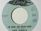 Northern Soul 45 FIDELS i'm givin' you notice baby DORE listen