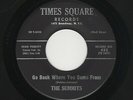 '61 NY R&B/DooWop SUMMITS Go Back Where You Came From/Times Square Stomp HEAR