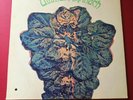 Ultimate Spinach Debut USA 1st MGM + inner Stereo A1/B1 psych Bell Sound etch