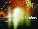 INCUBUS - Make Yourself 2 x LP - SEALED - 180 Gram Gatefold Vinyl Album Record