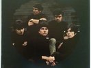 The Sorrows Take A Heart  orig lp NEAR MINT Canada NPL-30074 freakbeat