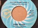 northern soul 45 ANDRE WILLIAMS You Got It And I Want It   Ric-Tic