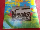 Misty in Roots Earth Vinyl A1B1 Pressing on People Unite Reggae 1983 PU 102 ALB