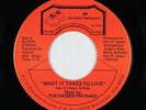 Modern Soul 45 - Chosen Few Band - What It Takes To Live - BR - NM mp3