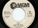 HEAR - Rare Rock / Psych 45 - Sam The Sham - Fate - MGM # K 14642 - Promo