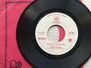 STATUS QUO TUNE TO THE MUSIC(USA) 7