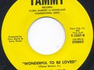 Sweet Harmony- ICE-COLD-LOVE - Wonderful To Be Loved - Tammy