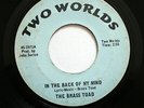 BRASS TOAD Garage Rock 45rpm In The Back Of My Mind b/w Easy To Be Hard LISTEN