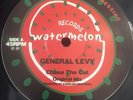 GENERAL LEVY - CHASE THE CAT RARE ORIG UK GARAGE 12