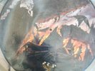 Suffocation	Beginning of Sorrow	Black Embrace	?	Picture	None/VG++