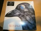 Strawberry Path ?– When The Raven Has Come To The Earth