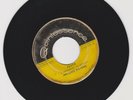 QUINTESSENCE/ FEVER  -  MELONIE WATERS  (74 REGGAE ROCKERS 7