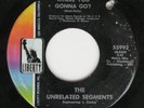 UNRELATED SEGMENTS Where You Gonna Go 7” 45  Liberty, 1967 Michigan garage psych