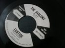 THE AVALONS HEARTS DESIRE 45 RECORD PROMO EBB TIDE NM