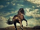 BRUCE SPRINGSTEEN Western Stars 2xLP Limited Edition NEW .cp