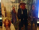 MOTT THE HOOPLE - WILDLIFE ISLAND JAPAN LP ICL 33 1972 VG+ /EX