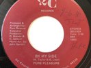 Pure Pleasure 